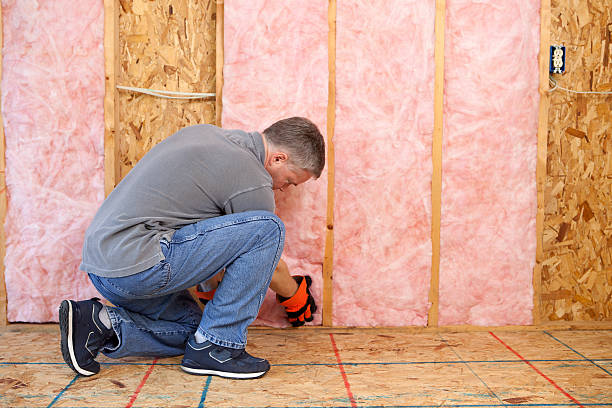 Eco-Friendly or Green Insulation Solutions in Scotland Neck, NC